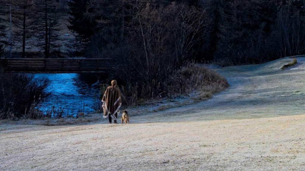 Nel bosco. Per ricordarci chi&nbsp;siamo.