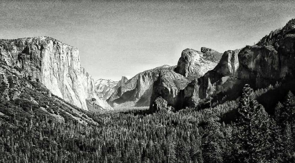 Autunno Americano #6