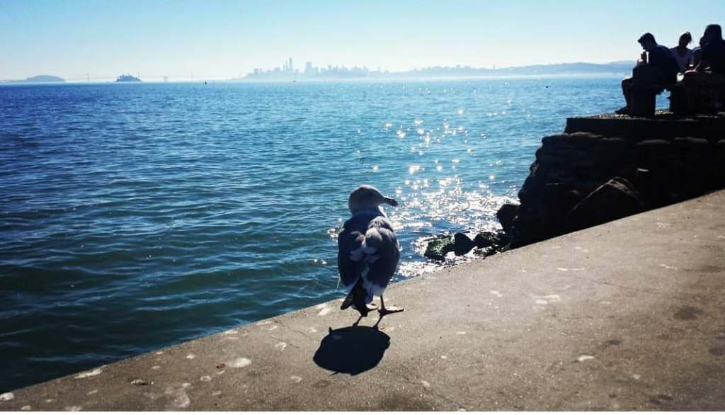 Autunno Americano #12