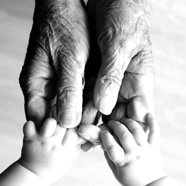 37696658_1356458461165778_4016160417398128640_n