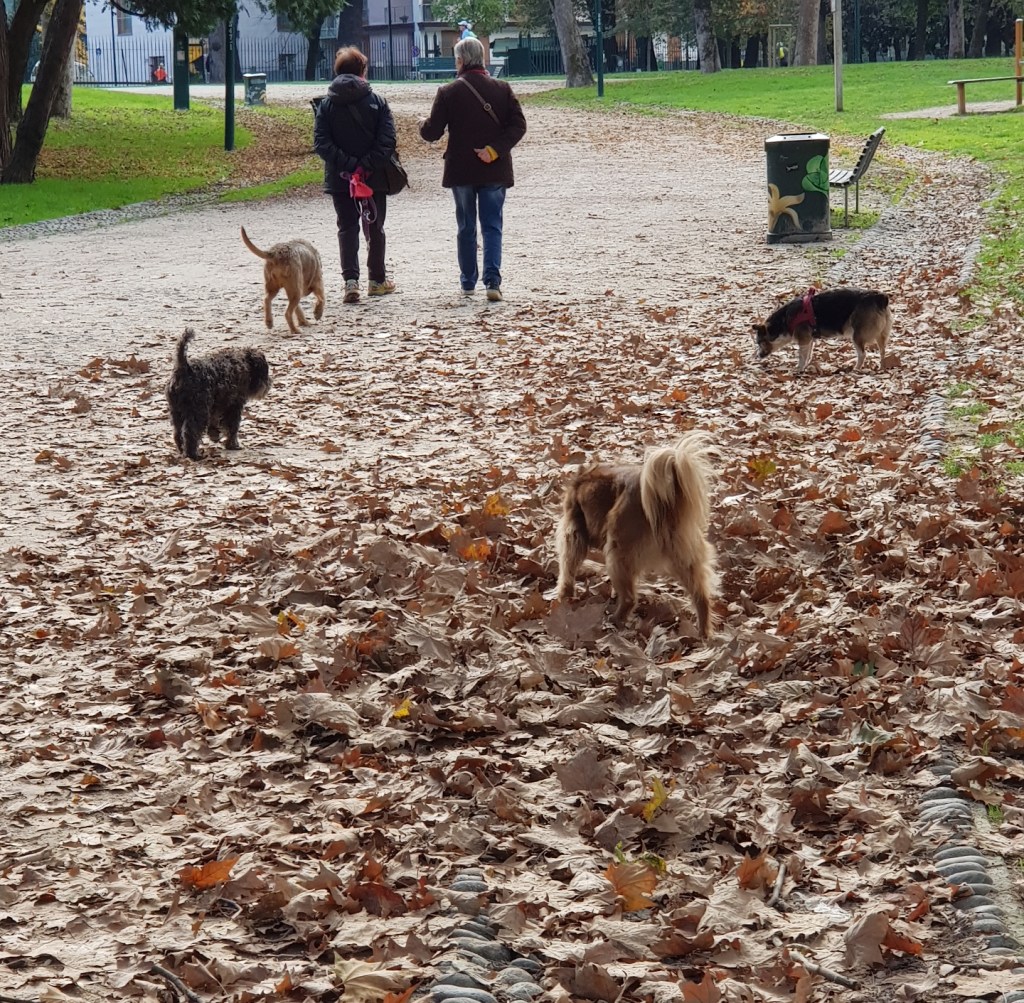 I benefici della pet&nbsp;therapy